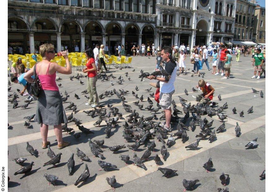 Foto duene mates pA¥ markusplassen i venezia