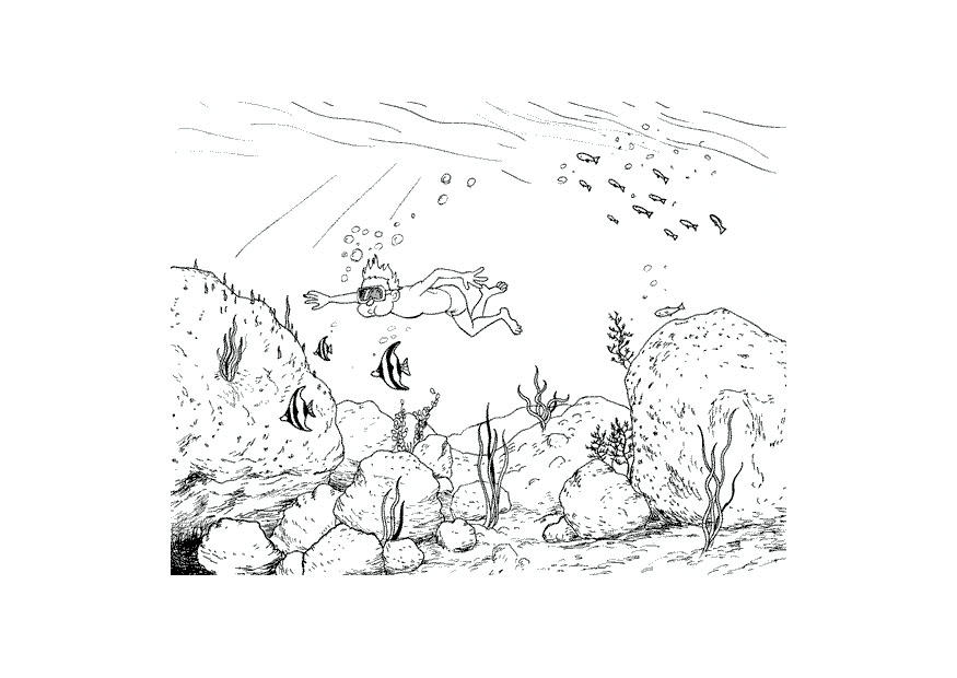 Fargeleggingsbilde dykke - snorkle