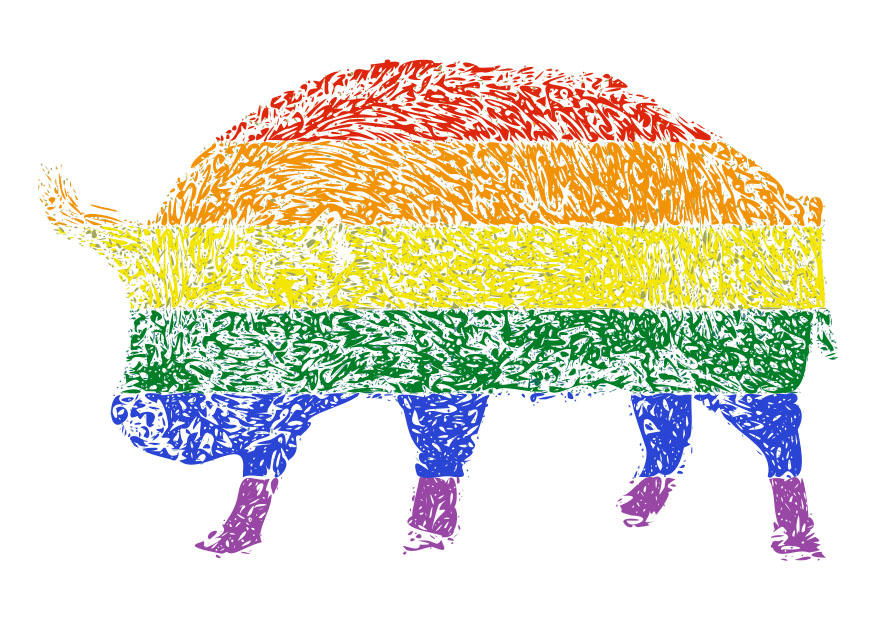 dyrerettigheter bilde dyrerettigheter