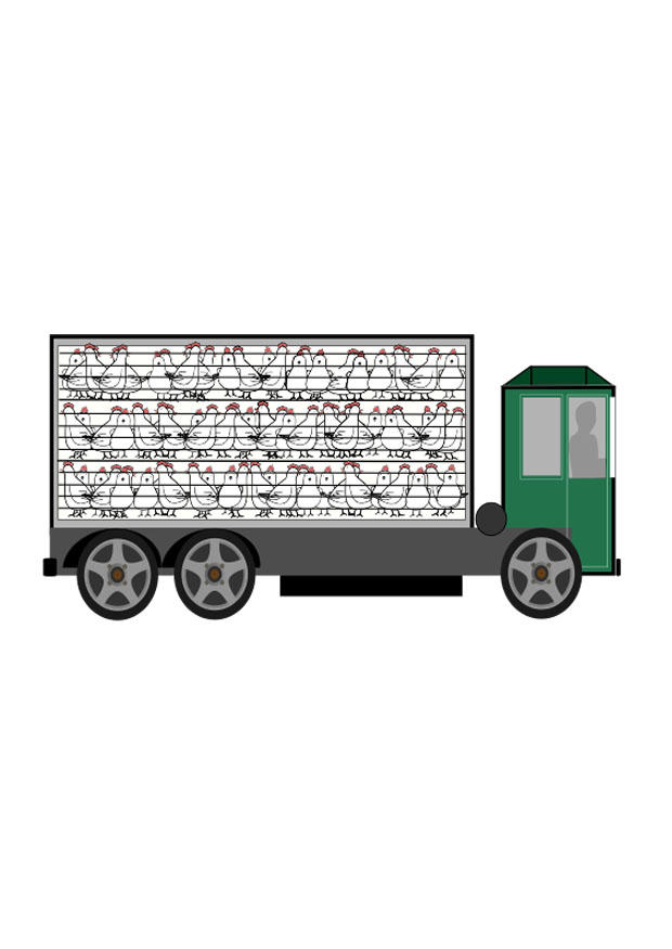 dyretransport bilde dyretransport