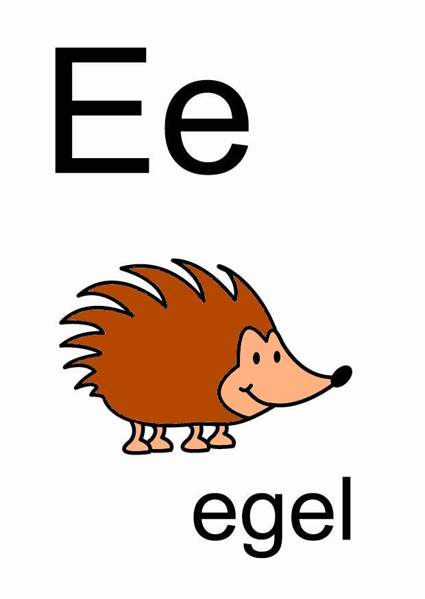 e bilde e