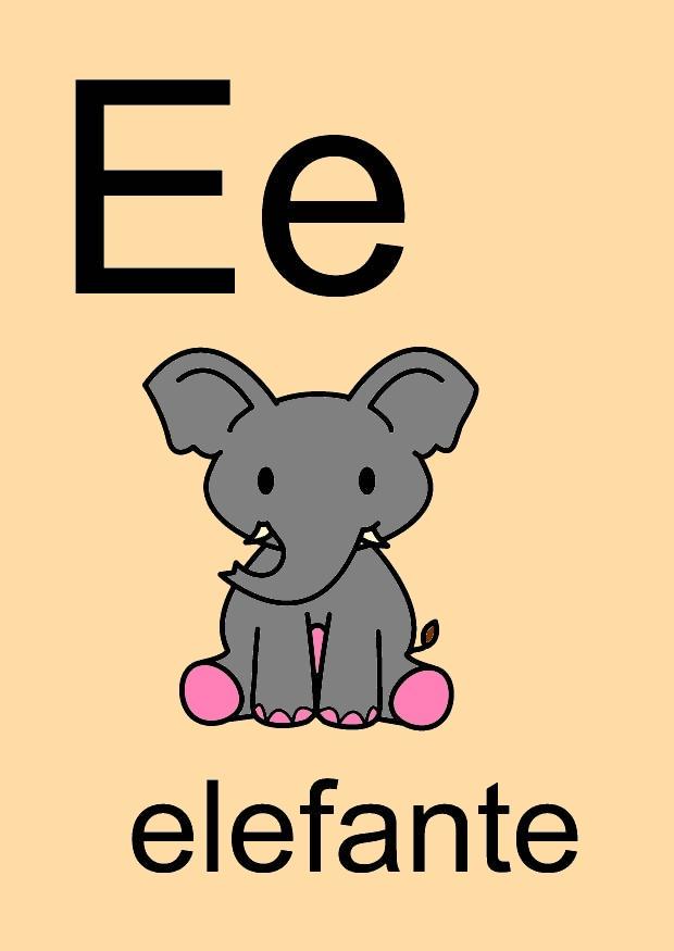 bilde e
