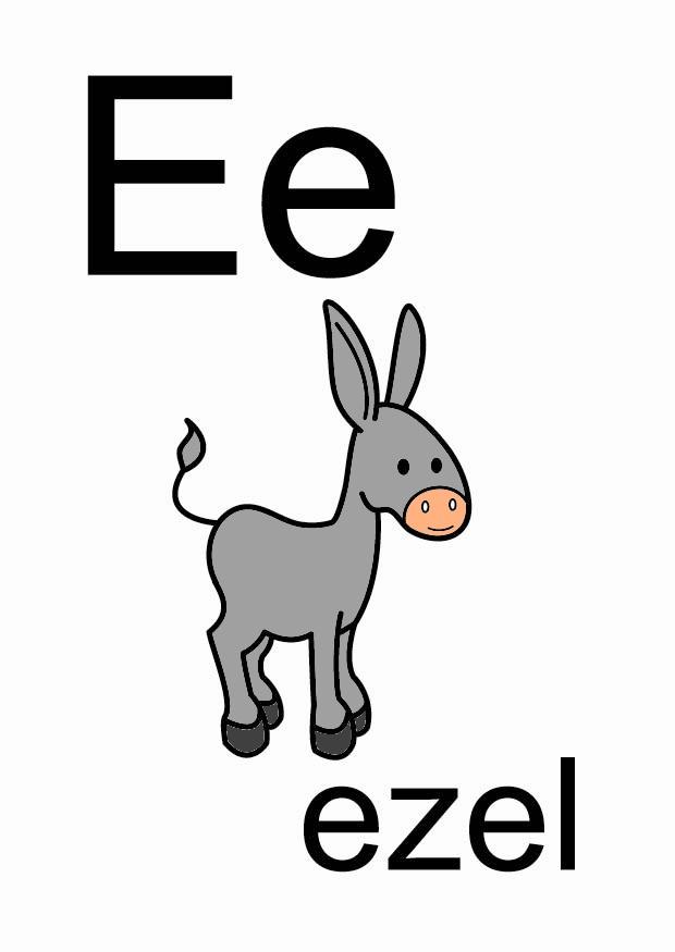 bilde e