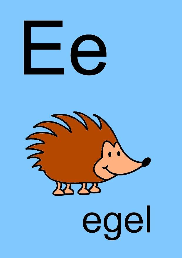 bilde e