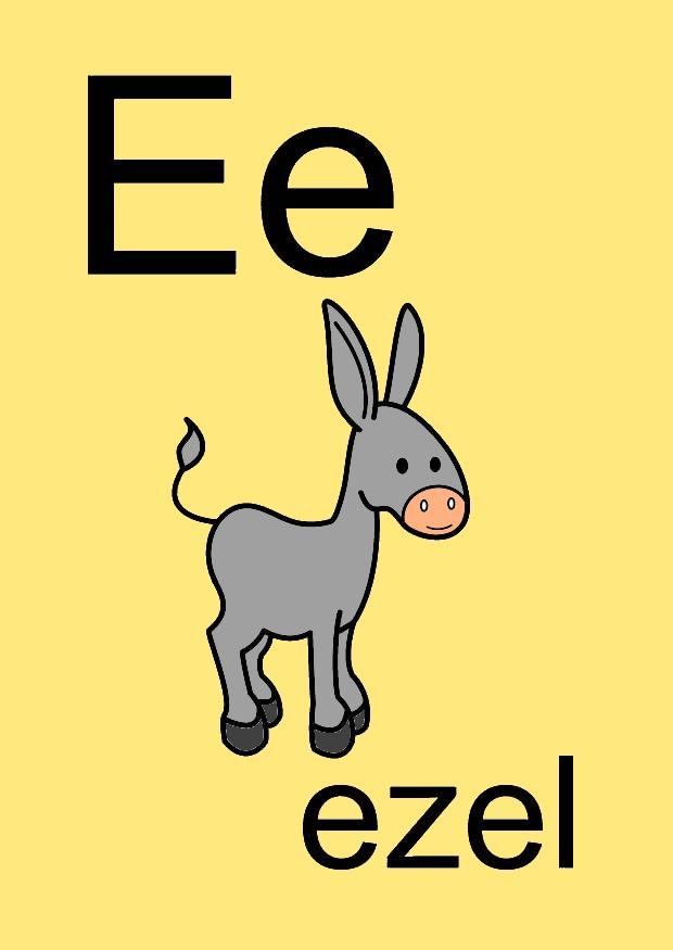 bilde e