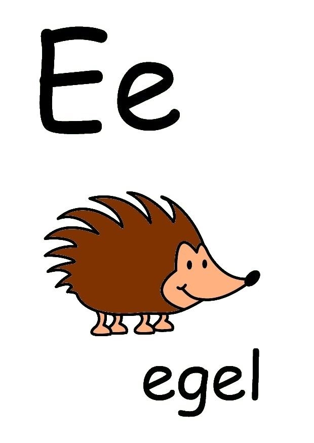 bilde e