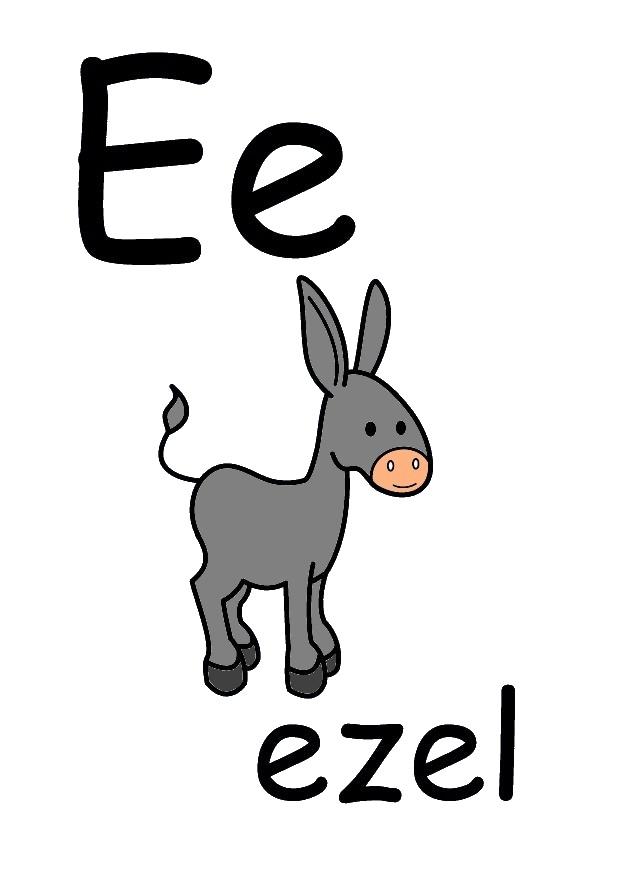 bilde e