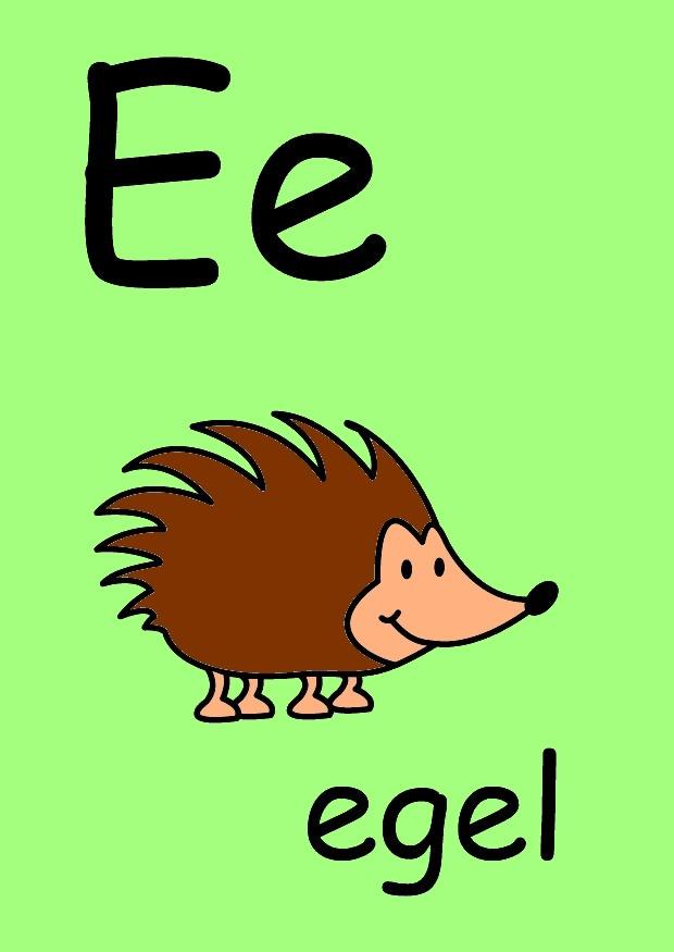 bilde e