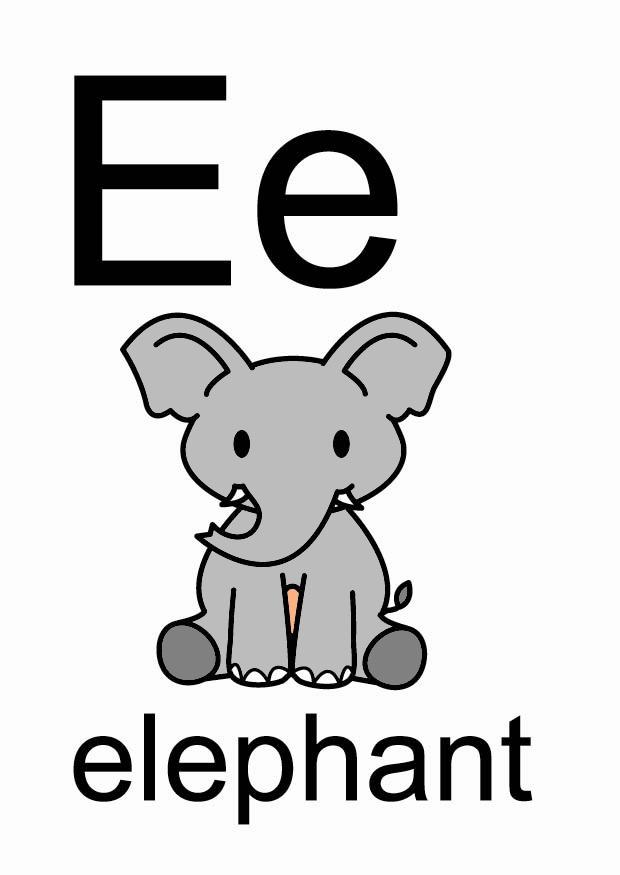 bilde e