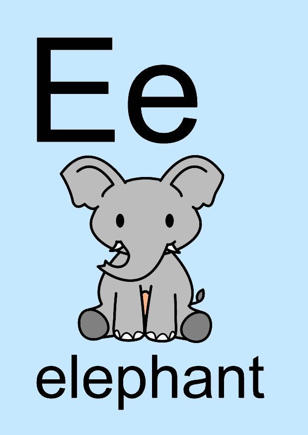 bilde e