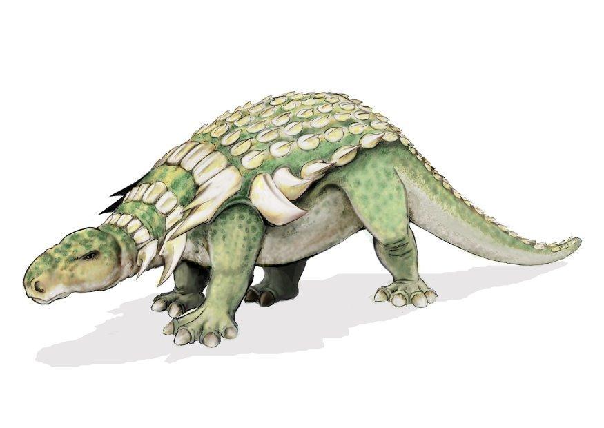 edmontonia dinosaur bilde edmontonia dinosaur