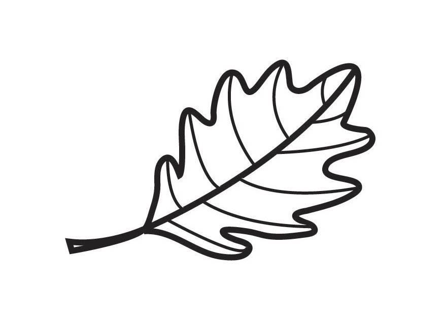 eikelA¸v Fargeleggingsbilde eikelA¸v