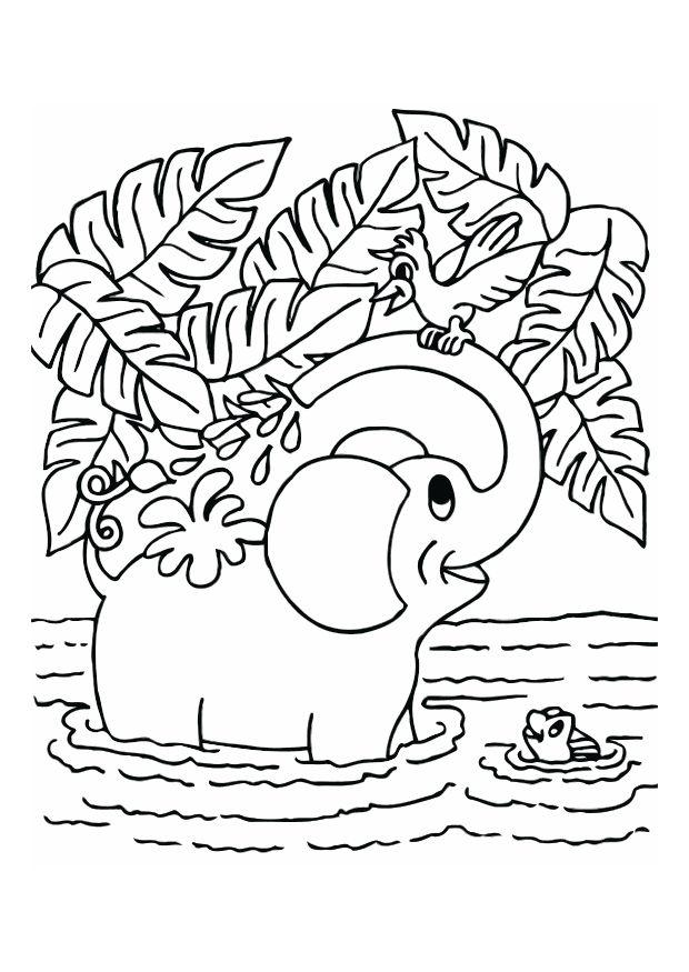 elefant Fargeleggingsbilde elefant