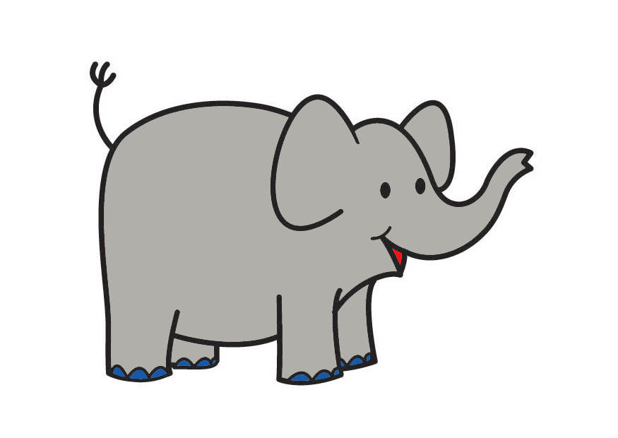 elefant bilde elefant