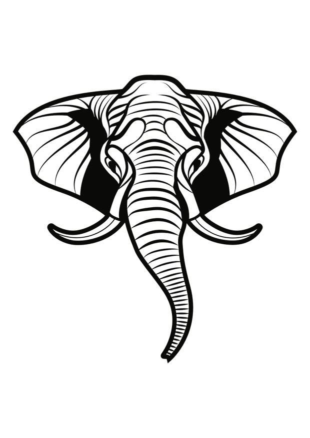 Fargeleggingsbilde elefant