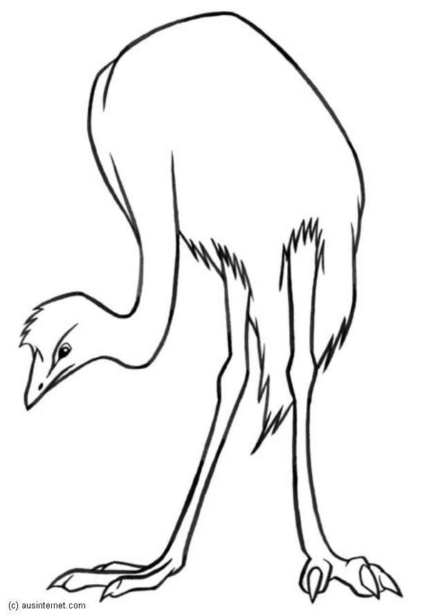 emu Fargeleggingsbilde emu