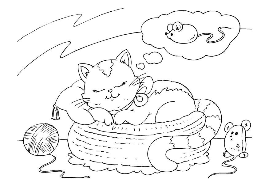 Fargeleggingsbilde en katt som drA¸mmer