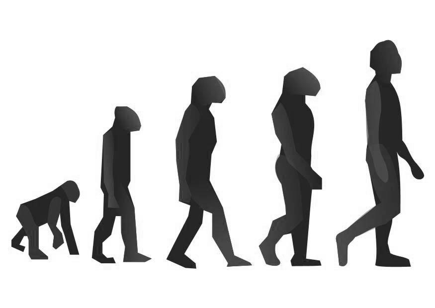 Fargeleggingsbilde evolusjon