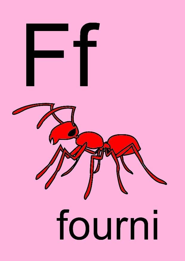 f bilde f