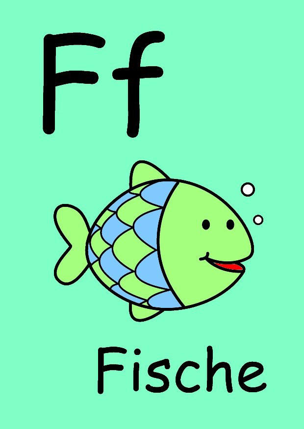 f bilde f