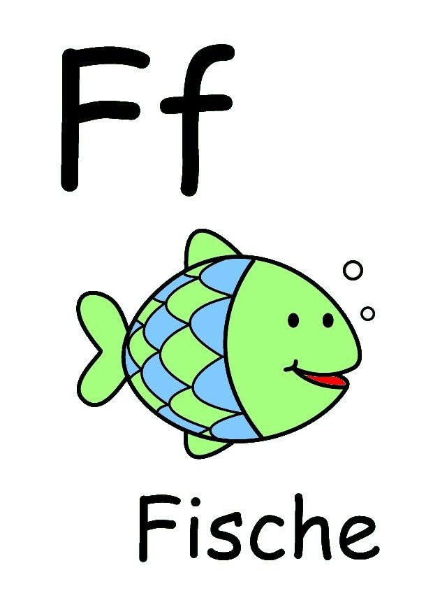 f bilde f