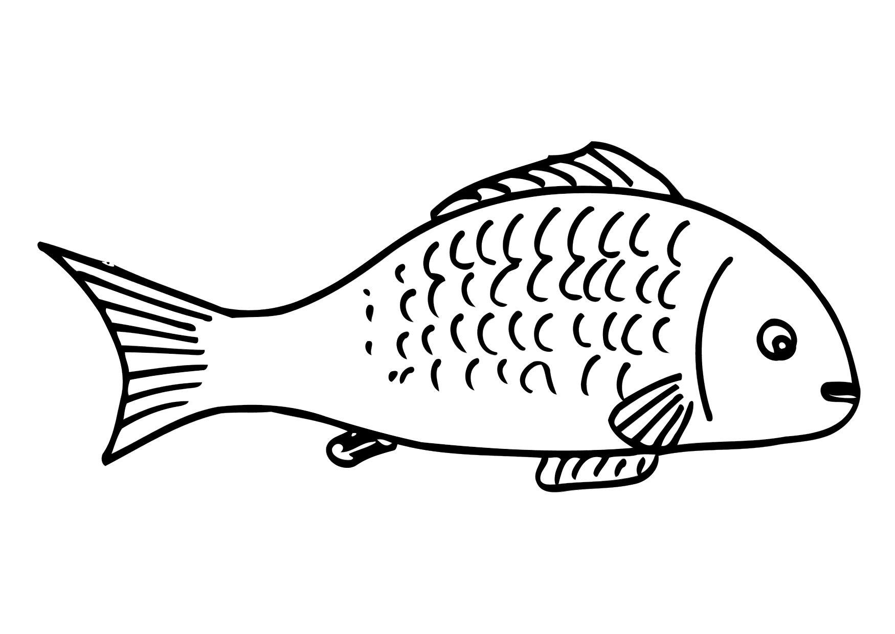 fisk Fargeleggingsbilde fisk