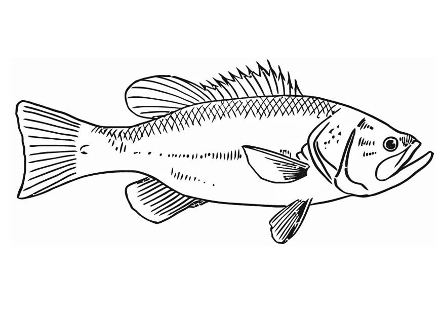 fisk Fargeleggingsbilde fisk