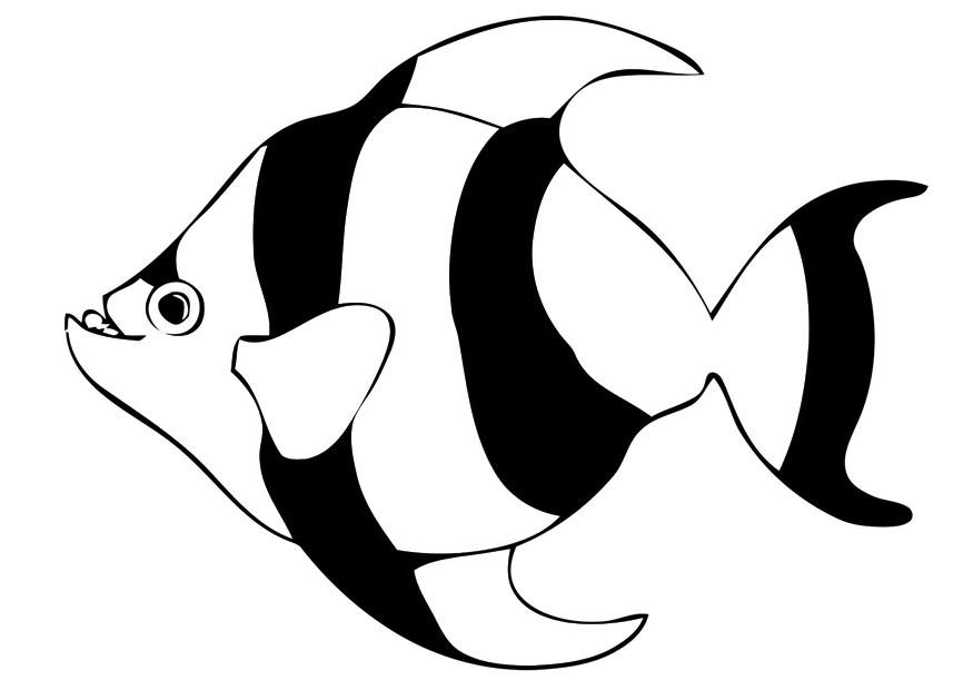 fisk Fargeleggingsbilde fisk