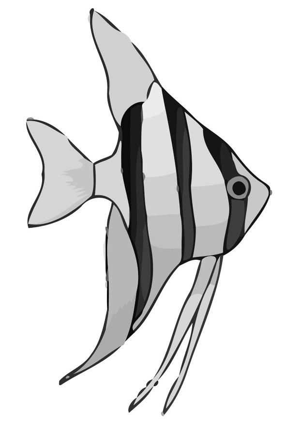 fisk Fargeleggingsbilde fisk
