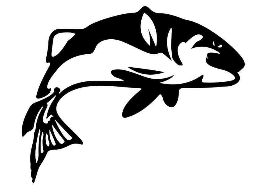 fisk Fargeleggingsbilde fisk