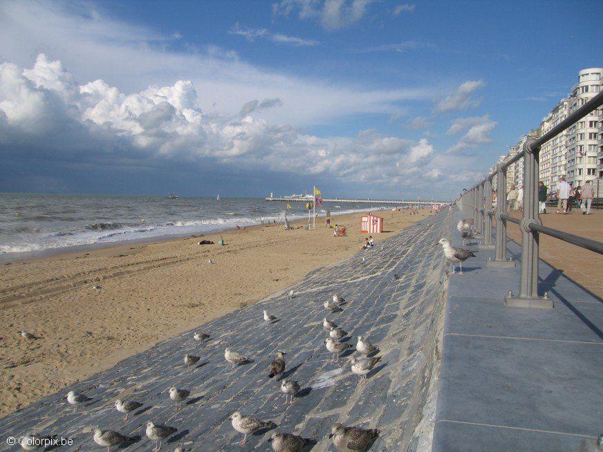 Foto fiskemA¥ker pA¥ stranden 4