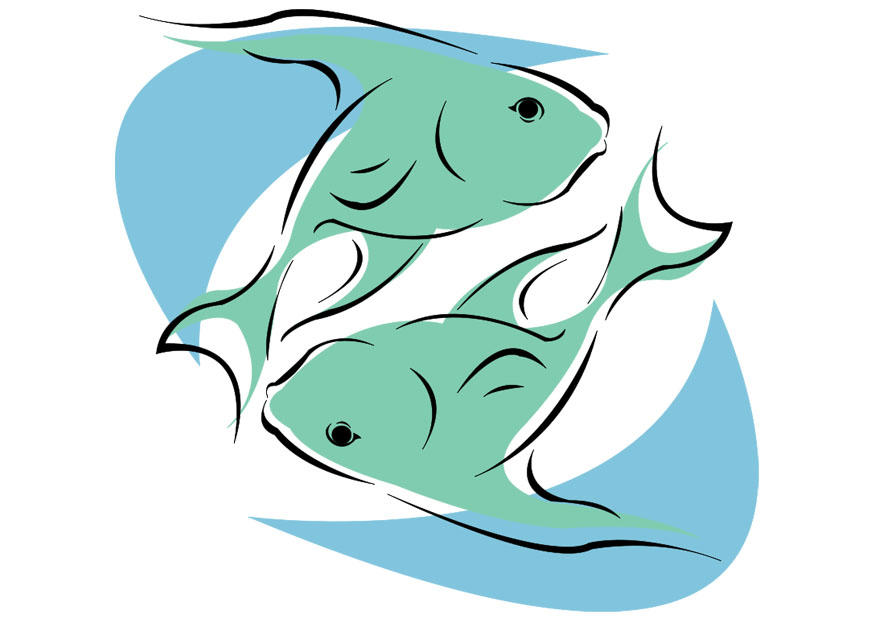 fisken bilde fisken
