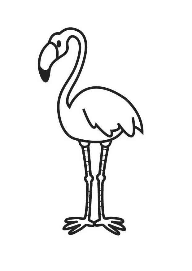 flamingo Fargeleggingsbilde flamingo