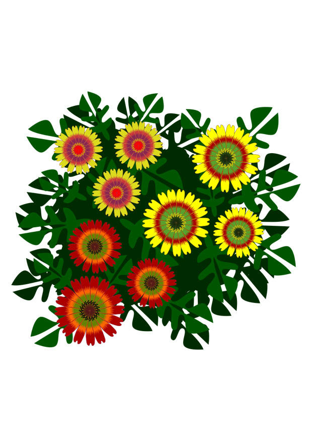 floral bilde floral