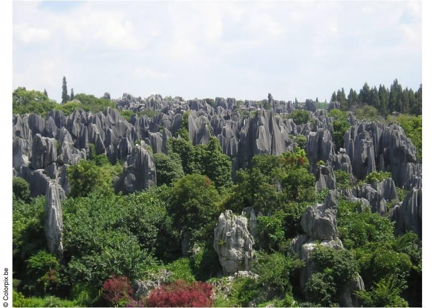 forsteinet skog i kunming Foto forsteinet skog i kunming