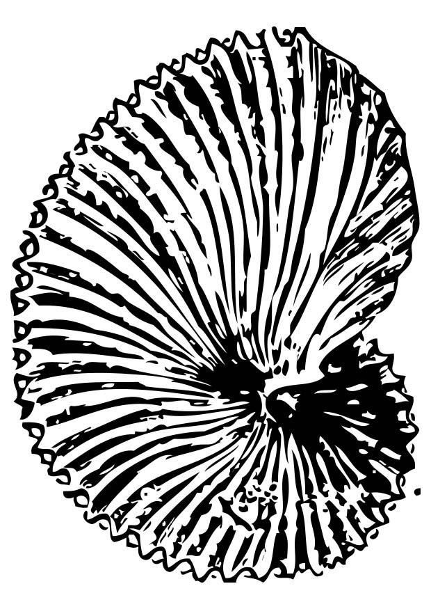 fossil Fargeleggingsbilde fossil
