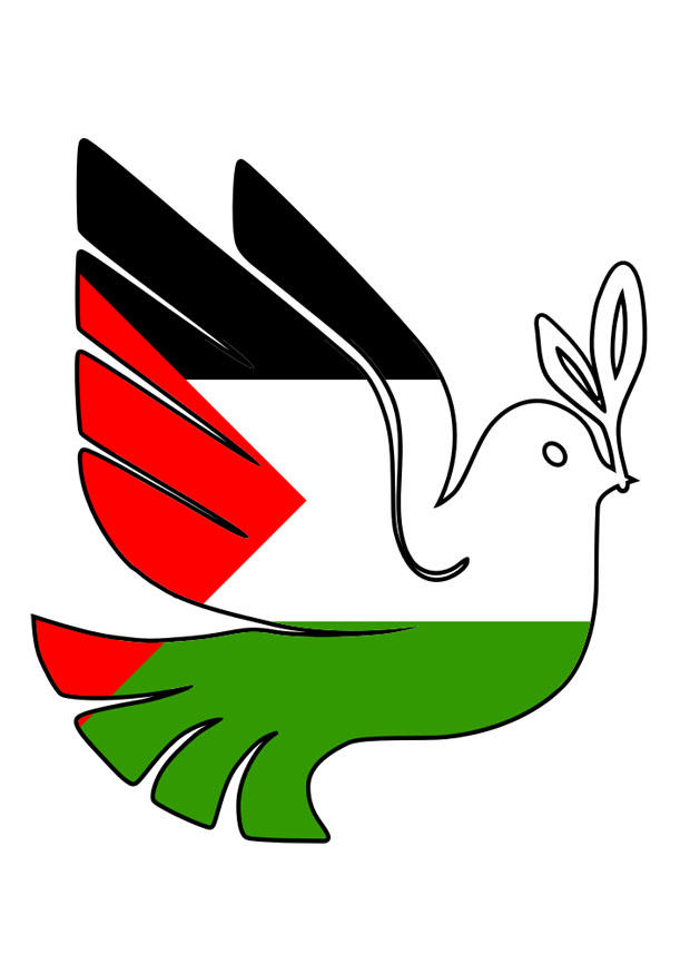 fred for palestina bilde fred for palestina