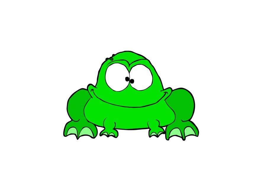 frosk bilde frosk