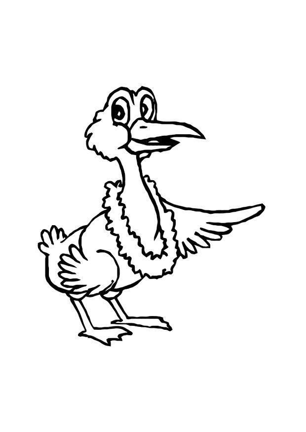 fugl Fargeleggingsbilde fugl