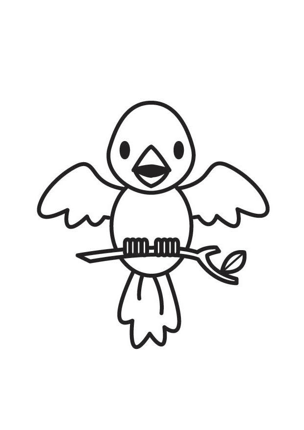 fugl Fargeleggingsbilde fugl