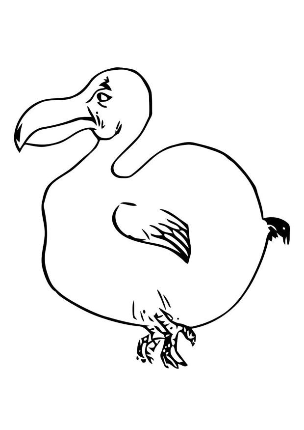 Fargeleggingsbilde fugl - dodo