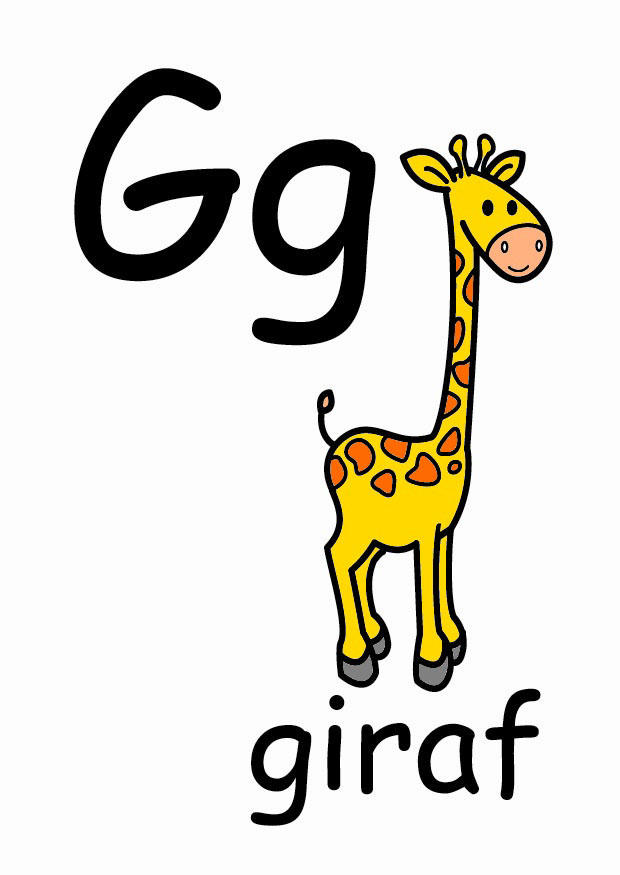 g bilde g