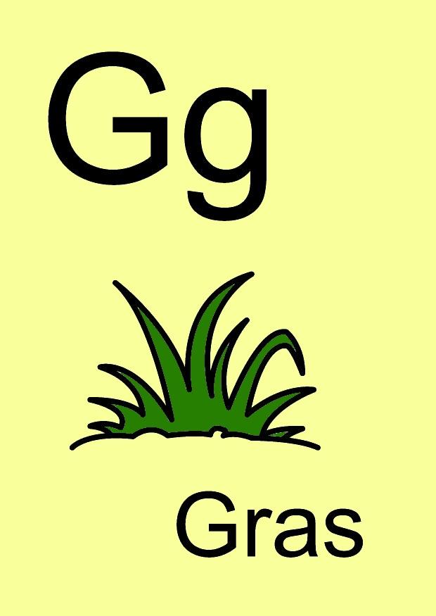 g bilde g
