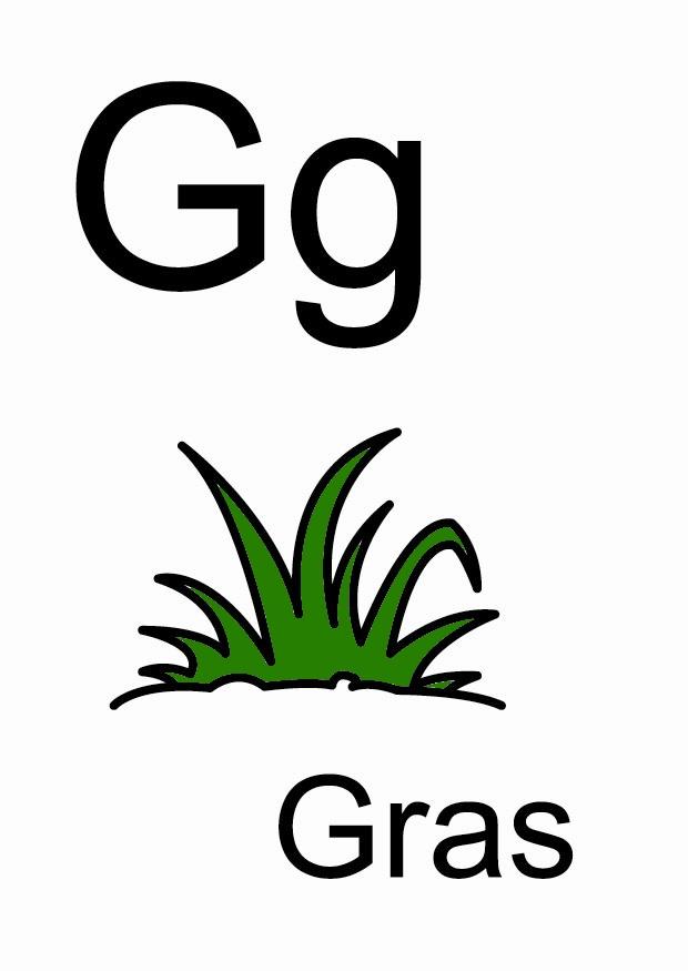 g bilde g
