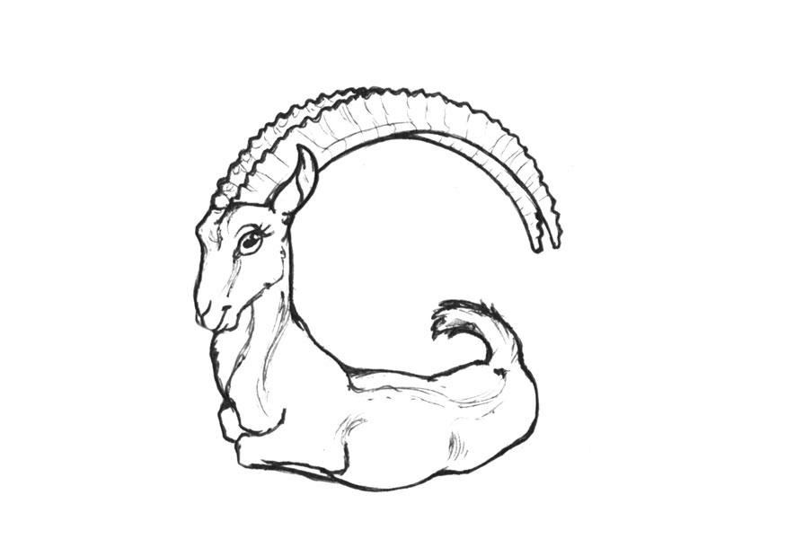 Fargeleggingsbilde g-goat