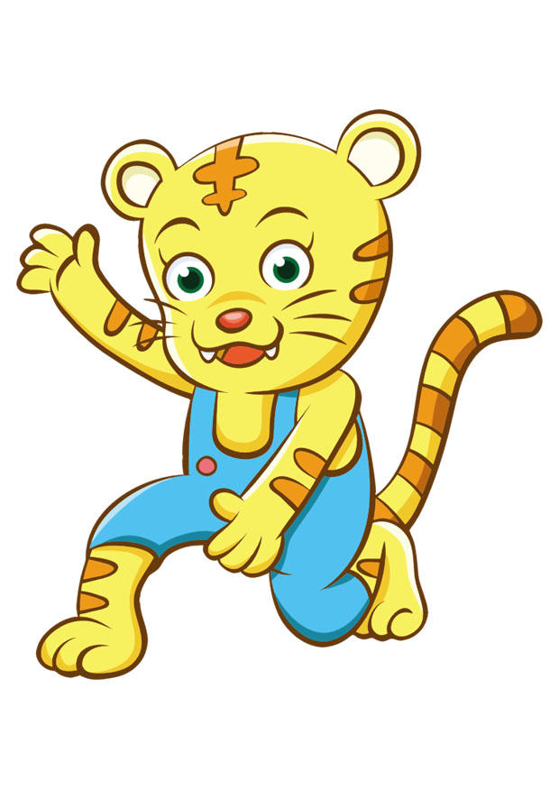 gepard bilde gepard