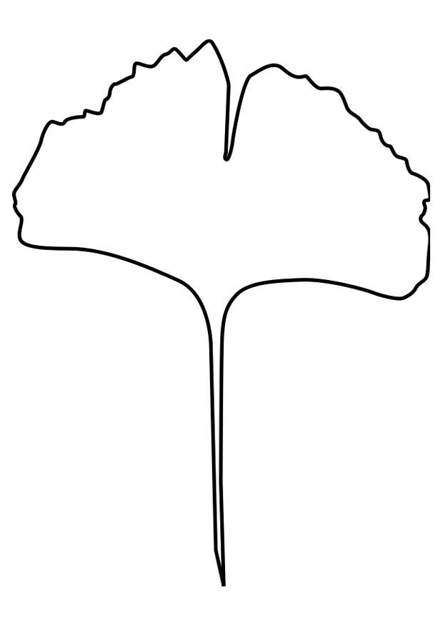 ginko blad Fargeleggingsbilde ginko blad
