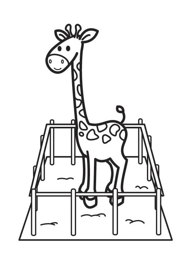 Fargeleggingsbilde giraff