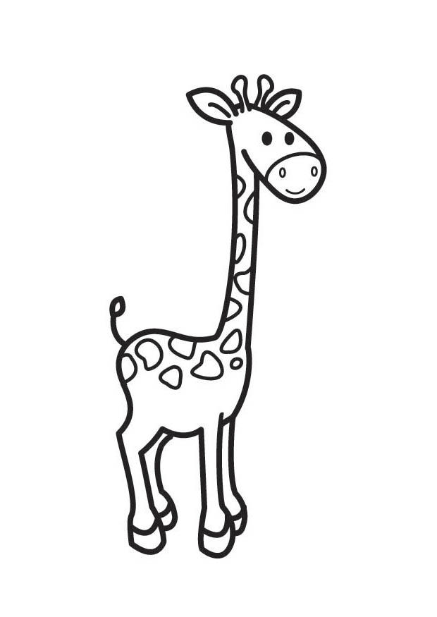 giraff Fargeleggingsbilde giraff