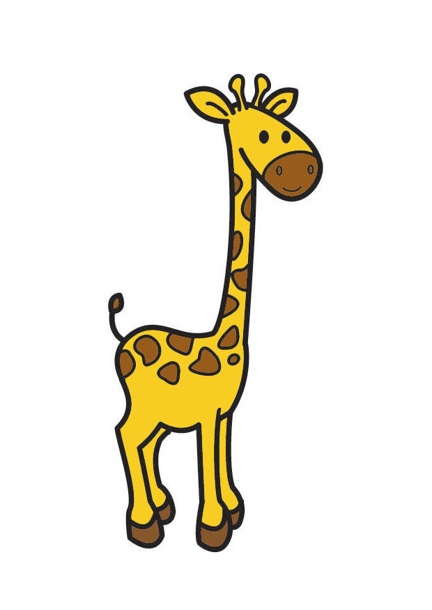 giraff bilde giraff